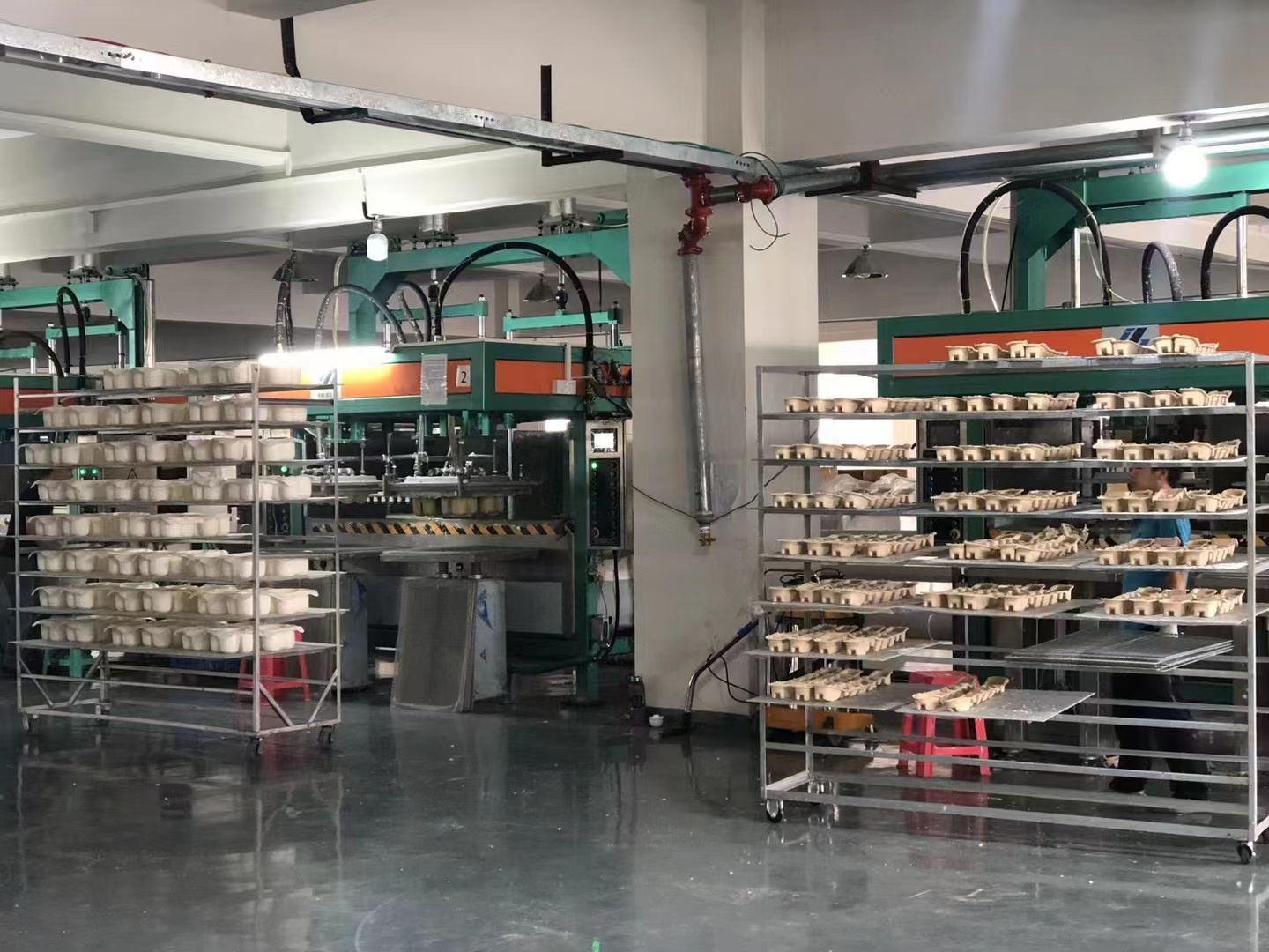 Molded Pulp Packing Machine